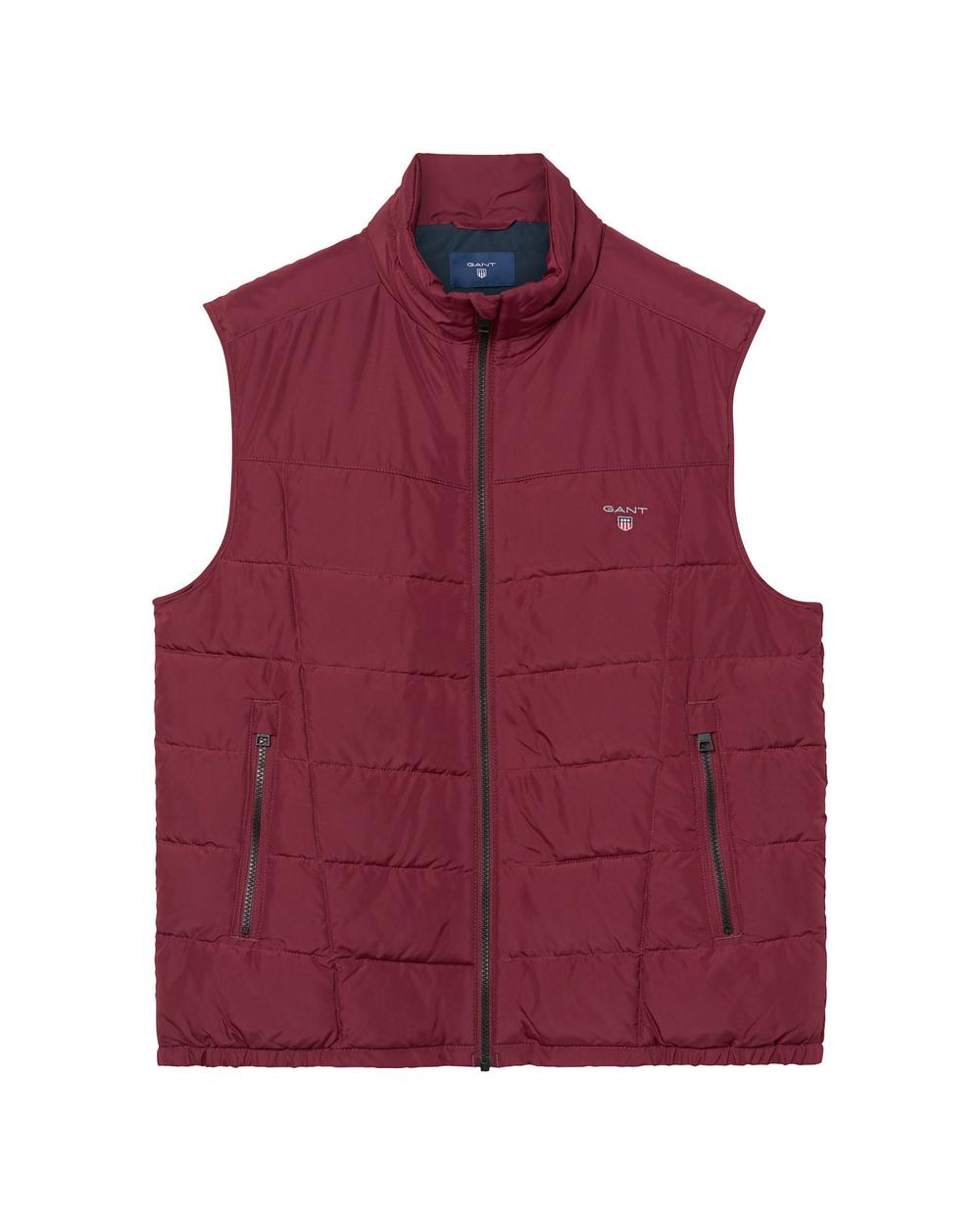 Erkek Bordo The Cloud Vest Mont