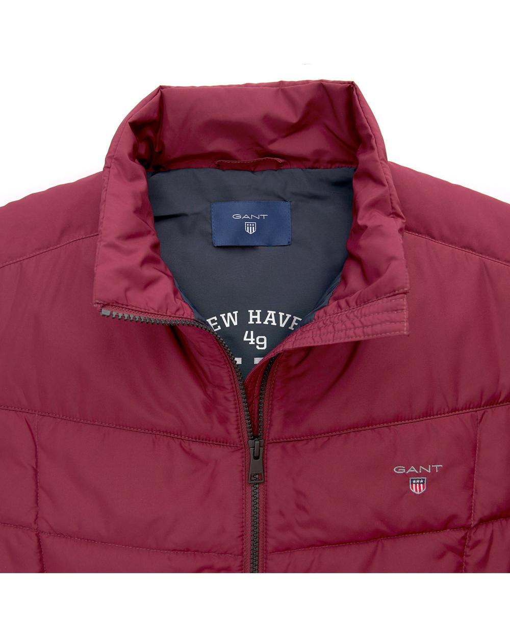 Erkek Bordo The Cloud Vest Mont