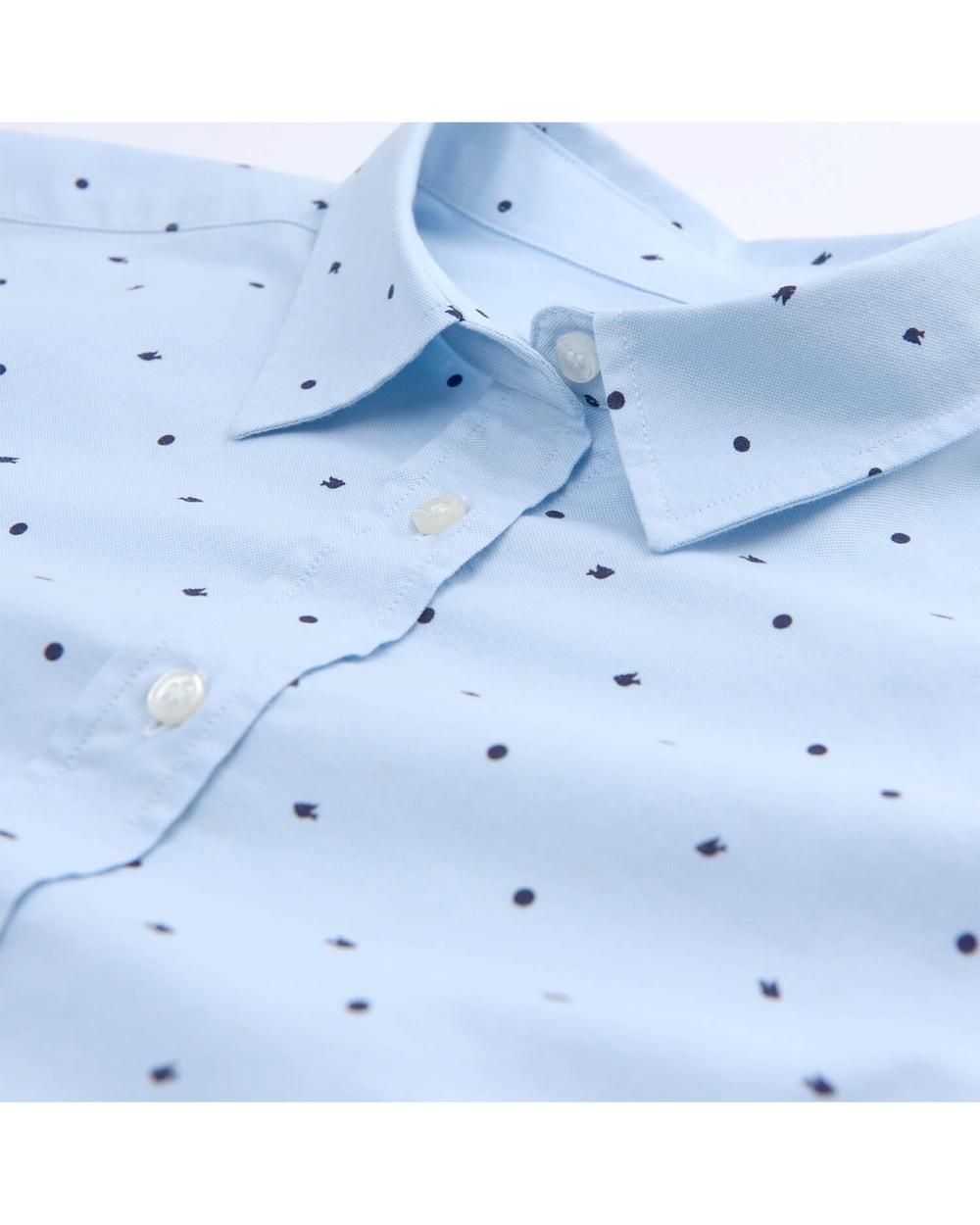 Kadın Mavi Oxford Puantiyeli Regular Fit Gömlek